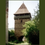 apold08.jpg