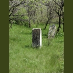 borosbenedek05.jpg