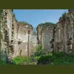 borosbenedek08.jpg