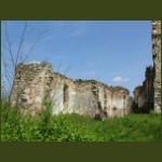 borosbenedek10.jpg