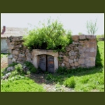 boroskrakko03.jpg