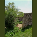 boroskrakko10.jpg