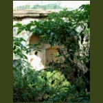 csakigorbo10.jpg
