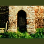 csicsoholdvilag02.jpg