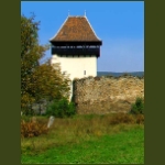 csicsoholdvilag09.jpg