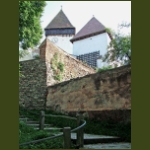 holcmany03.jpg