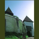 holcmany07.jpg