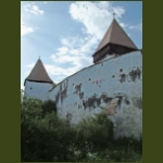 holcmany09.jpg