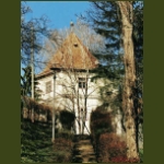 marosvecs01.jpg