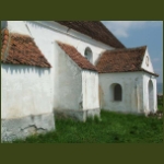 sepsikalnok06.jpg