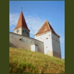 szaszsaros03.jpg
