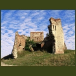 szelindek04.jpg