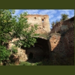 szelindek08.jpg