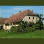 szentdemeter14.jpg