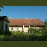 szentdemeter15.jpg