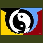 jin-jang01.jpg