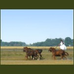 Bugac49.jpg
