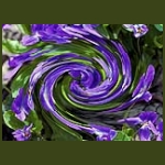 digikep016.jpg