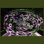 digikep022.jpg