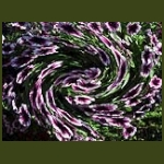digikep023.jpg
