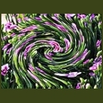 digikep026.jpg