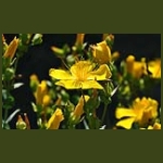 digikep074.jpg