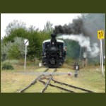kisvasut72.jpg