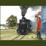 kisvasut75.jpg