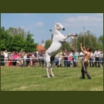 lezsaklevente019.jpg