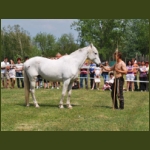 lezsaklevente021.jpg