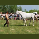 lezsaklevente024.jpg