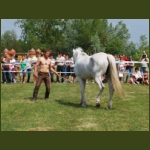 lezsaklevente025.jpg