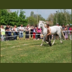 lezsaklevente026.jpg