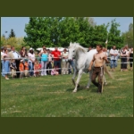 lezsaklevente027.jpg