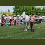 lezsaklevente028.jpg
