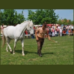 lezsaklevente030.jpg