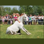 lezsaklevente052.jpg