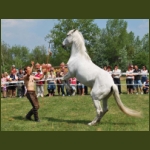 lezsaklevente053.jpg