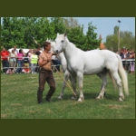lezsaklevente057.jpg