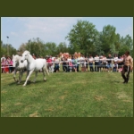 lezsaklevente064.jpg