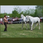 lezsaklevente066.jpg