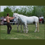 lezsaklevente067.jpg