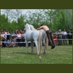 lezsaklevente071.jpg