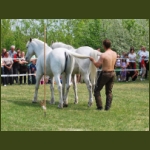 lezsaklevente072.jpg
