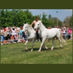 lezsaklevente075.jpg