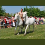 lezsaklevente076.jpg