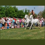 lezsaklevente077.jpg