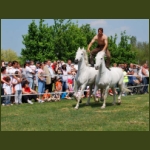 lezsaklevente078.jpg