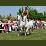 lezsaklevente079.jpg