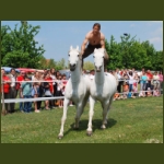 lezsaklevente080.jpg